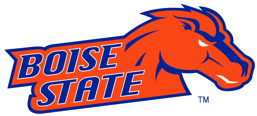 Boise State Broncos 2002-2012 Secondary Logo v25 DIY iron on transfer (heat transfer)